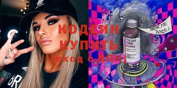 хмурый Верея