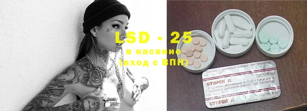индика Верхний Тагил