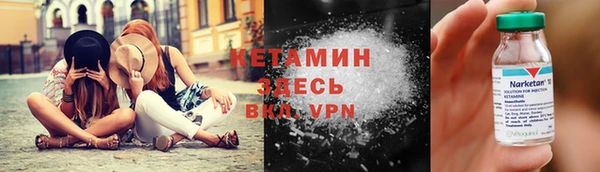 хмурый Верея
