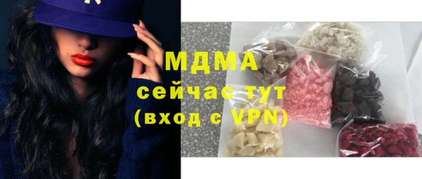 индика Верхний Тагил