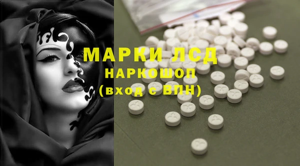 индика Верхний Тагил