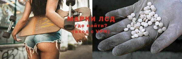 хмурый Верея