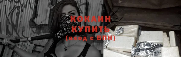 хмурый Верея