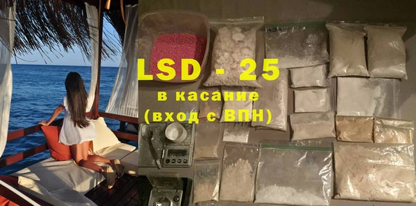 индика Верхний Тагил