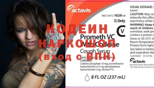 хмурый Верея