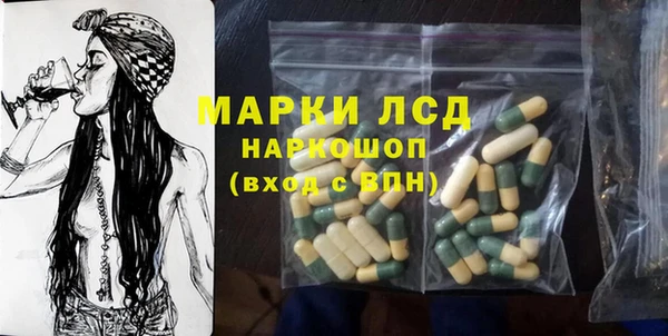 индика Верхний Тагил