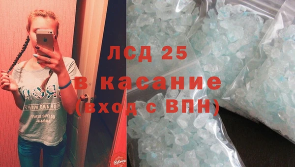 индика Верхний Тагил
