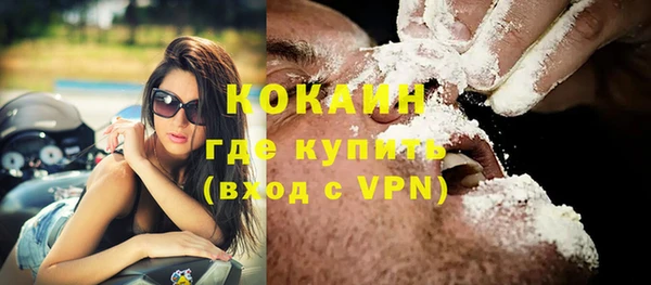 индика Верхний Тагил