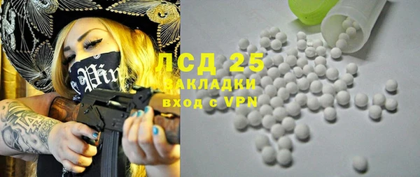 индика Верхний Тагил