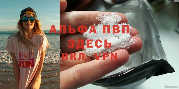 индика Верхний Тагил