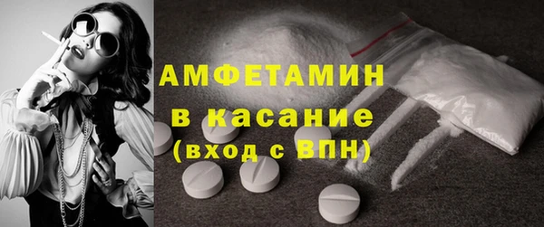 хмурый Верея